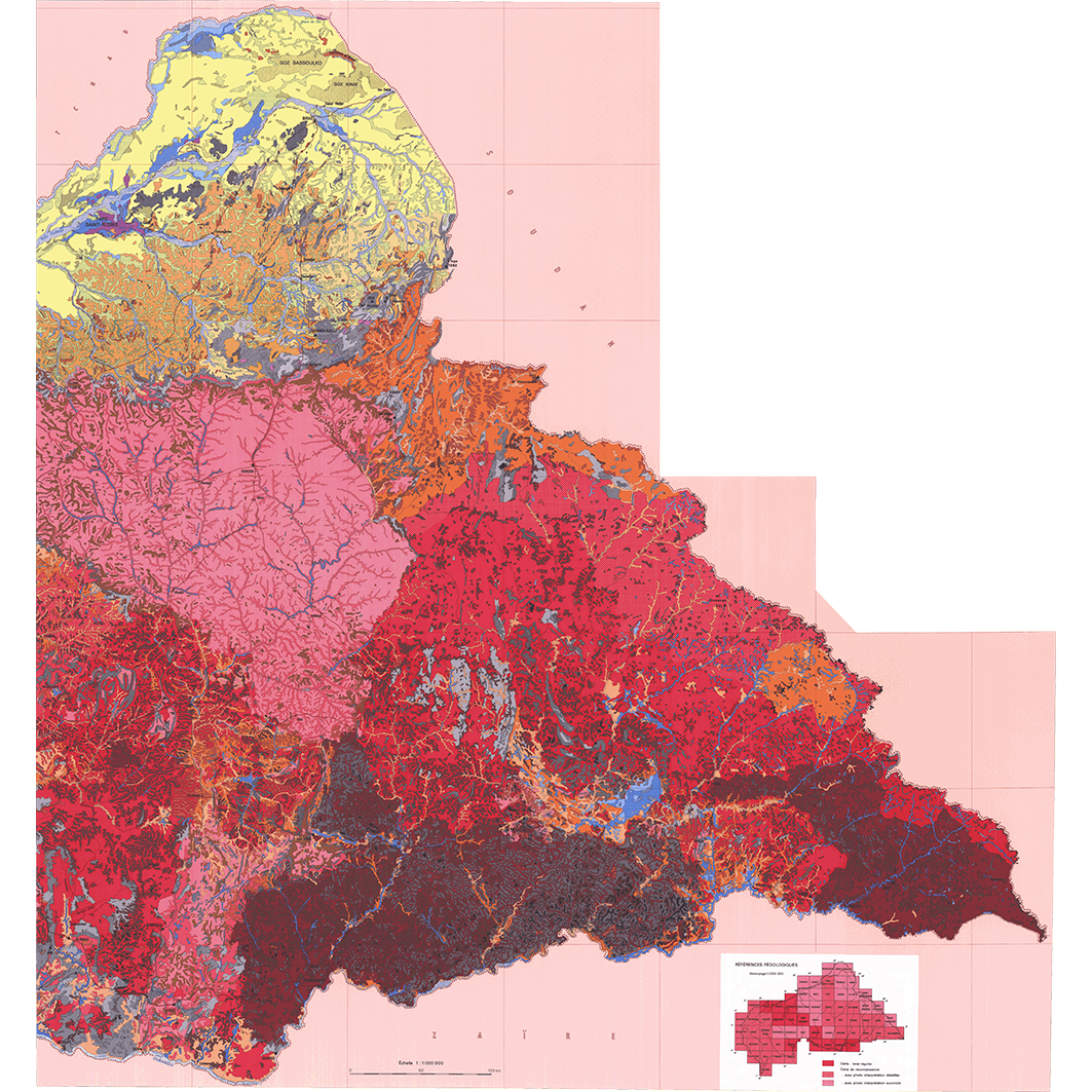 overview