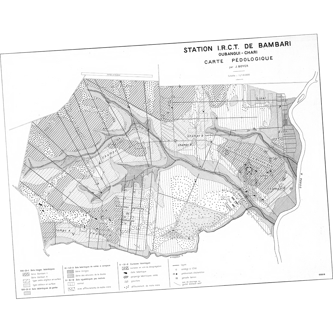 overview