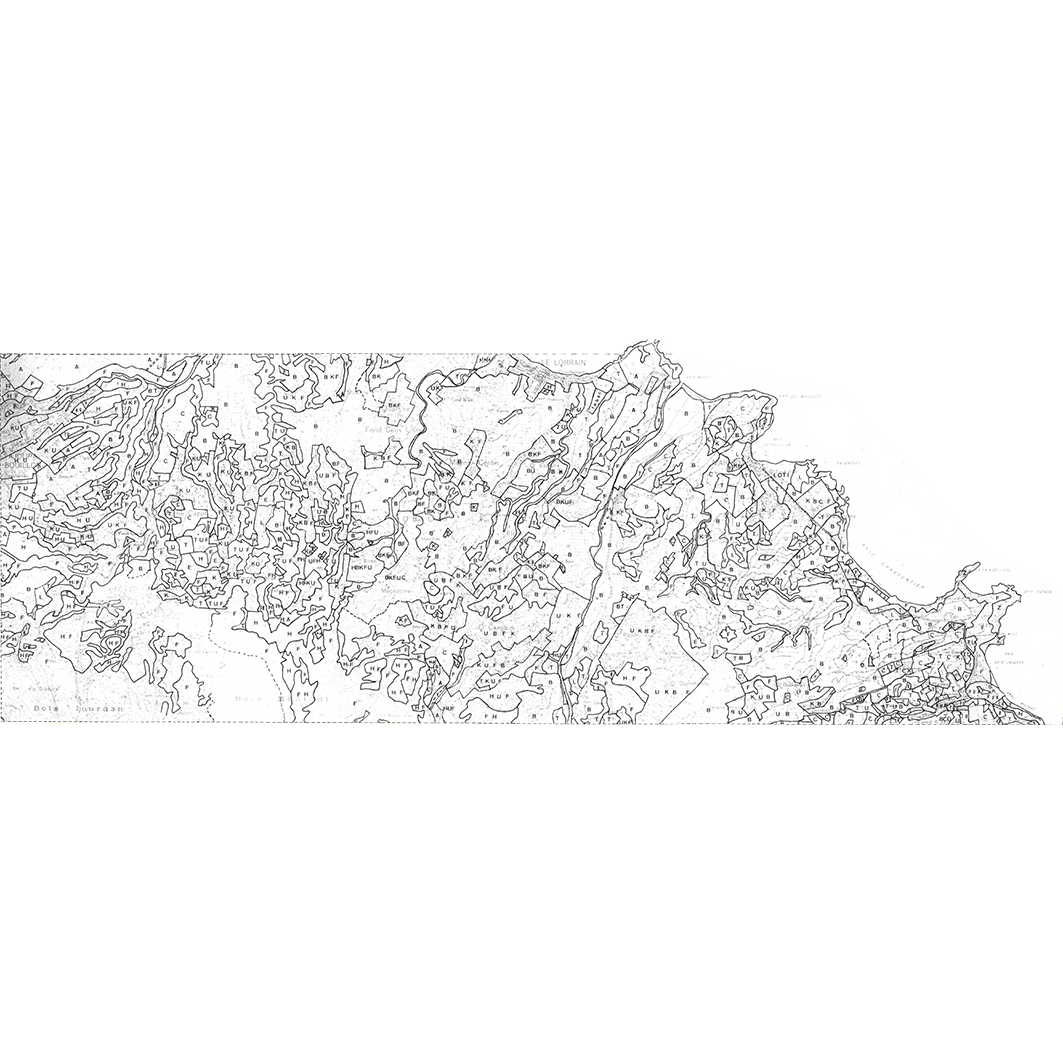 overview