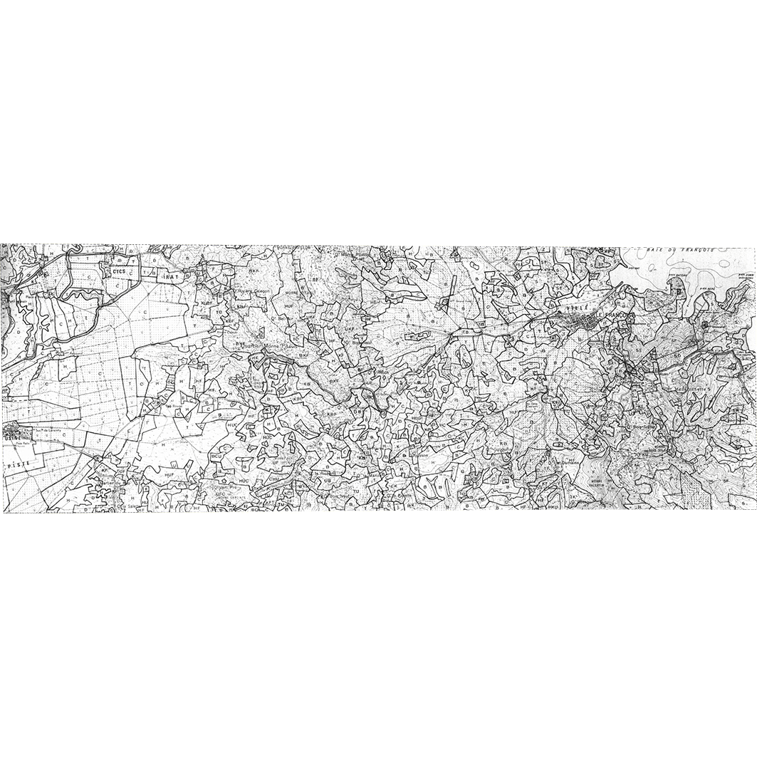 overview
