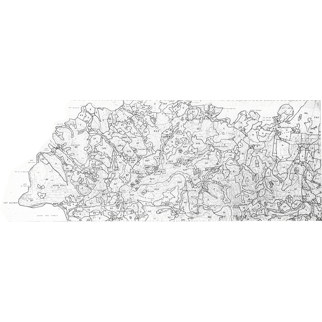 overview