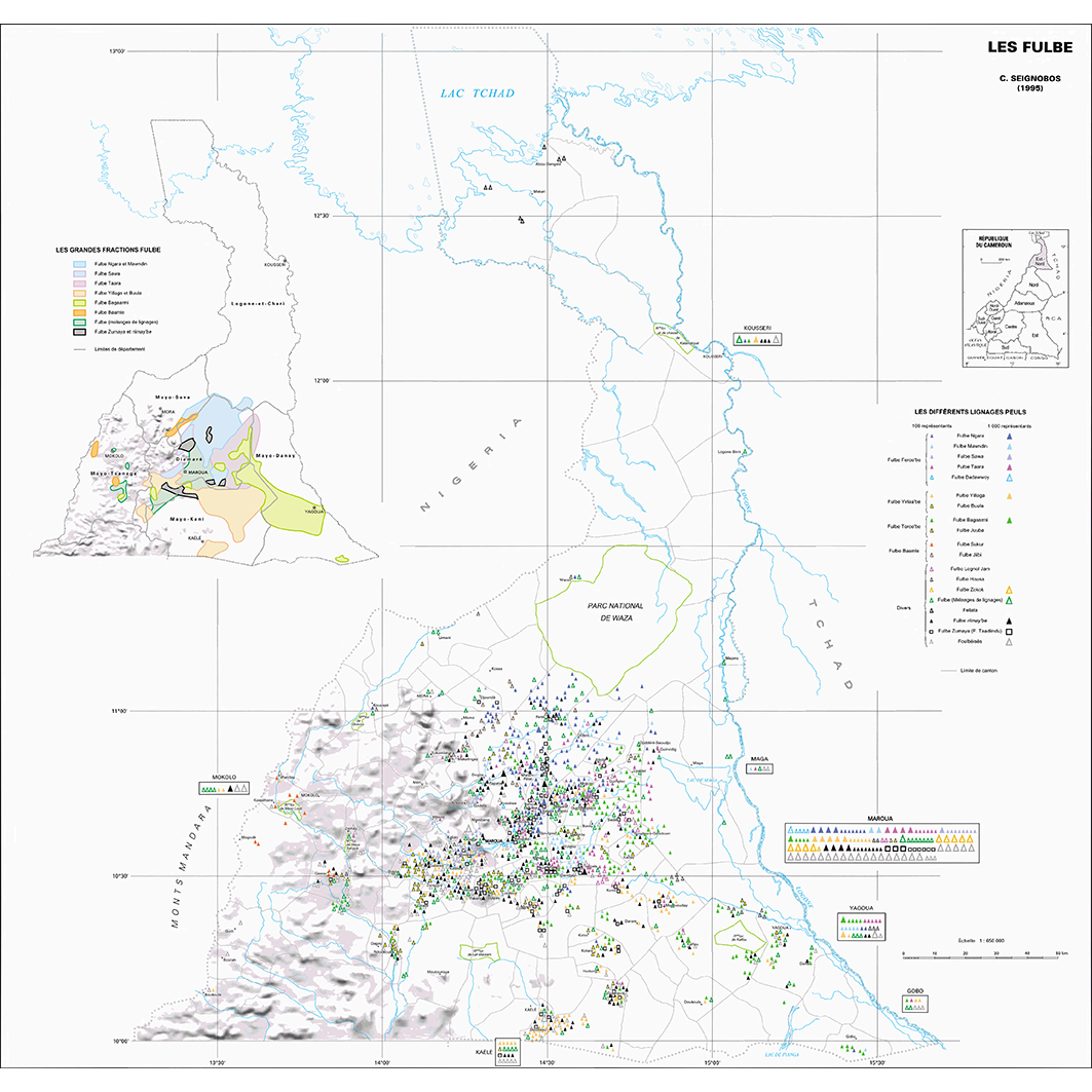 overview