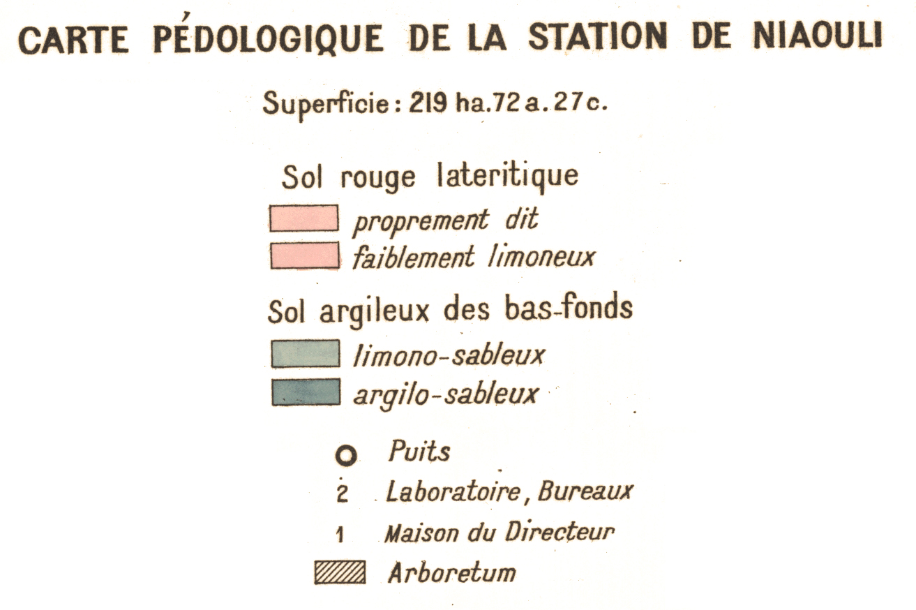 overview