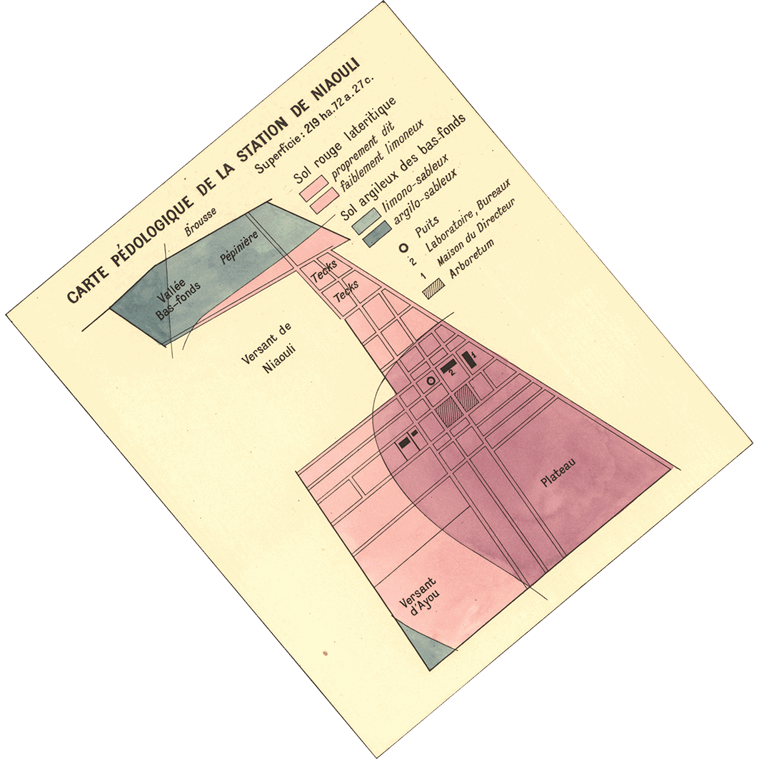 overview
