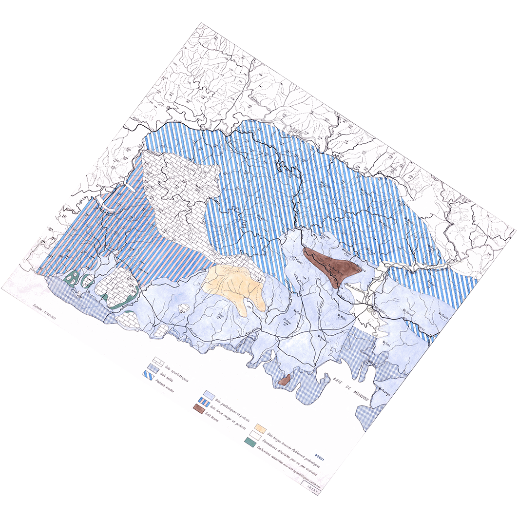 overview