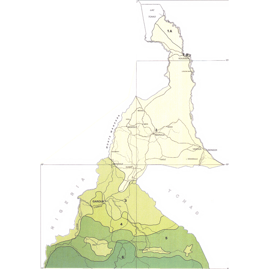 overview