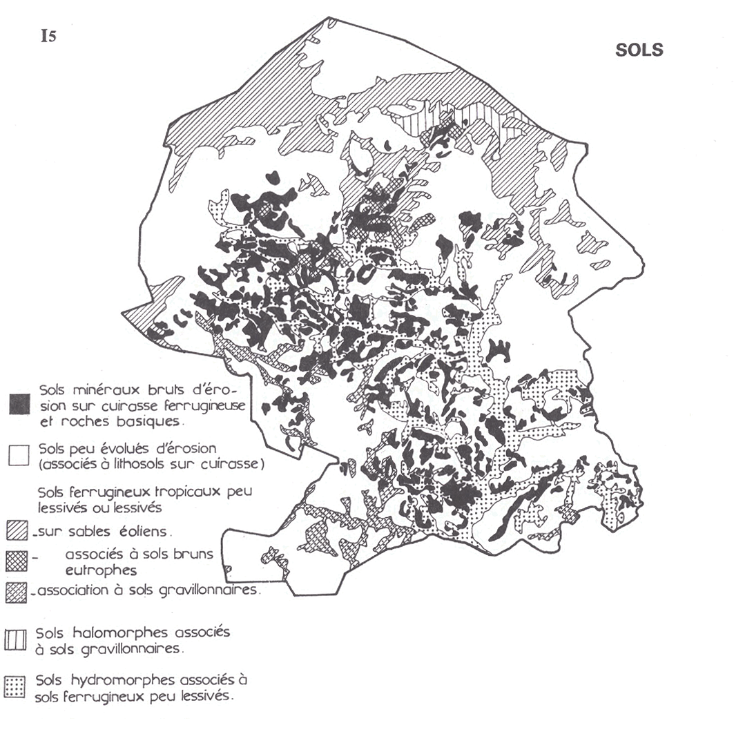 overview