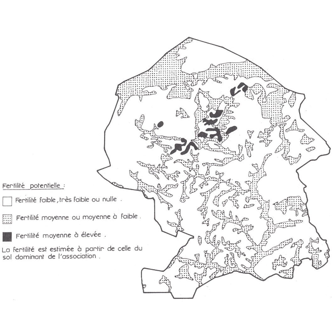 overview