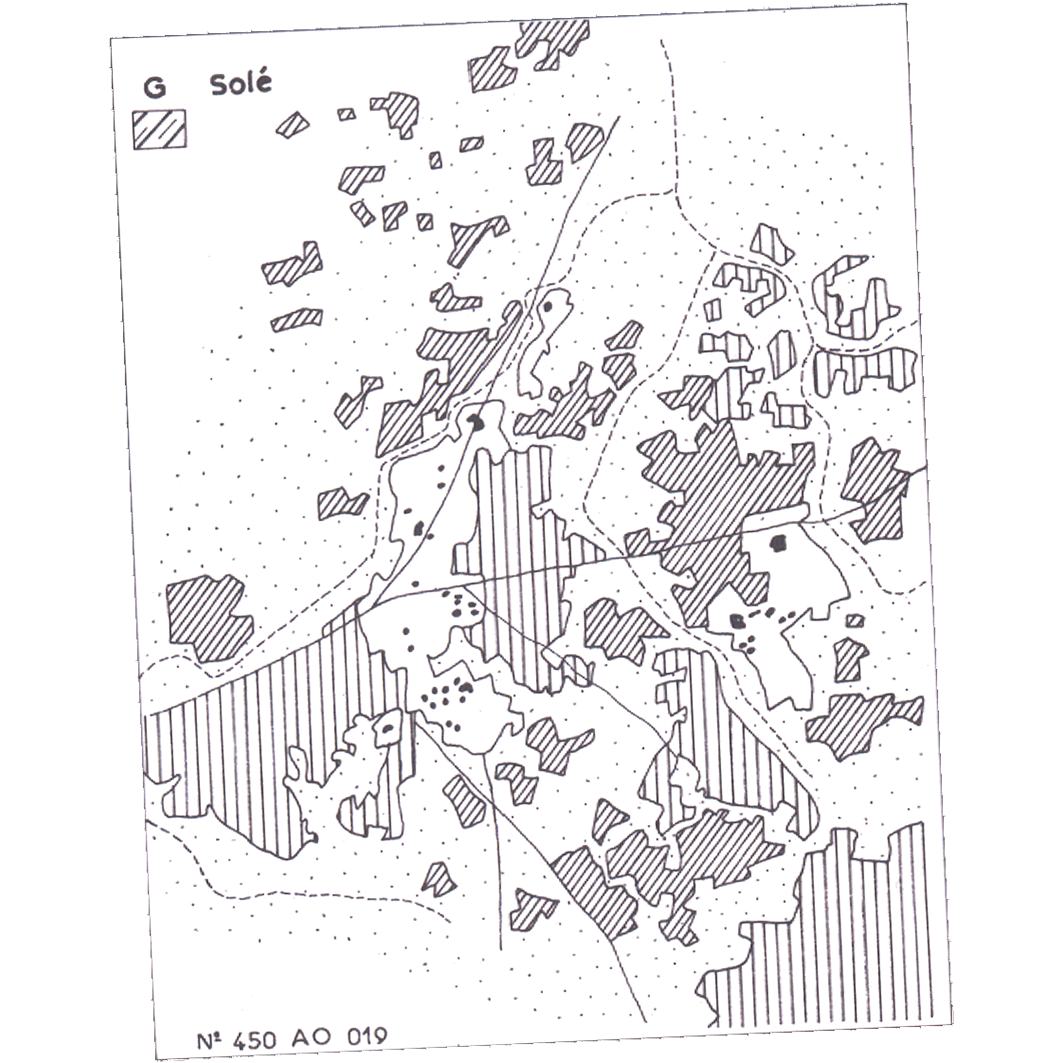 overview