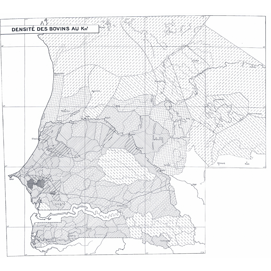 overview
