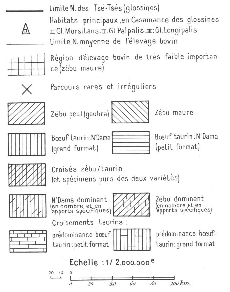 overview