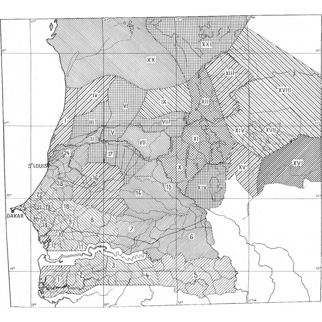 overview