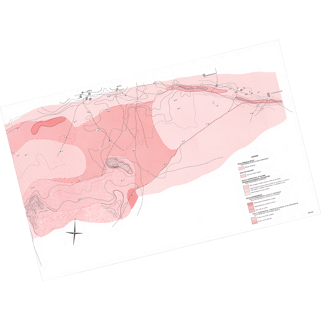 overview