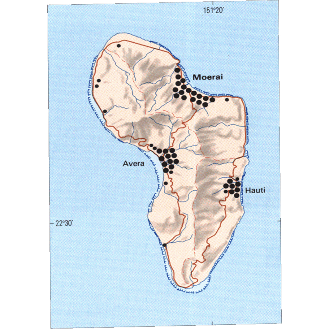 overview