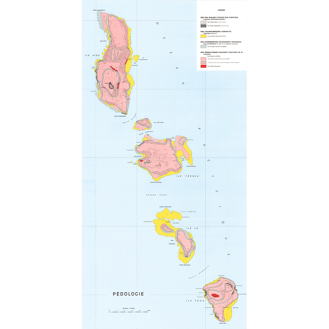 overview