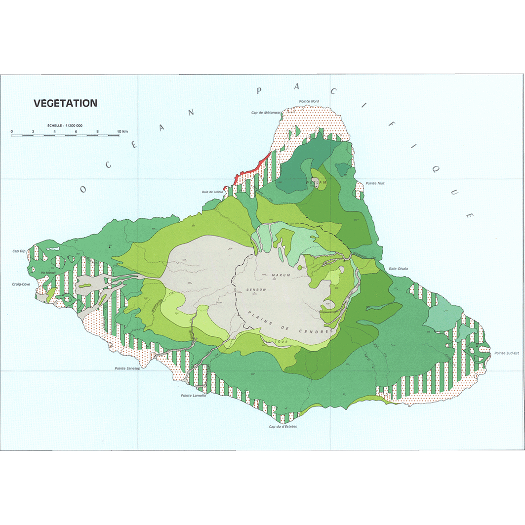 overview