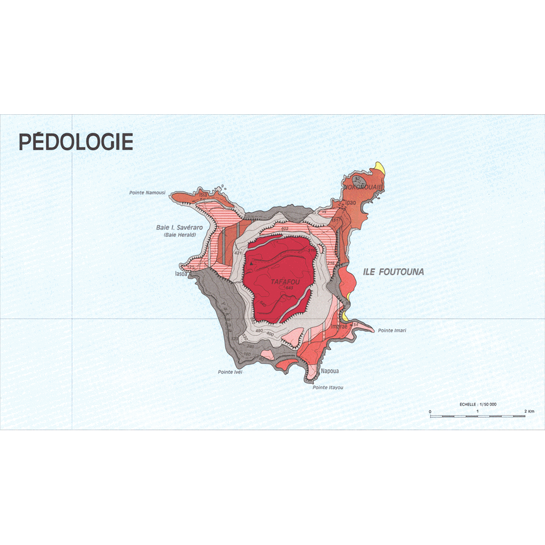 overview