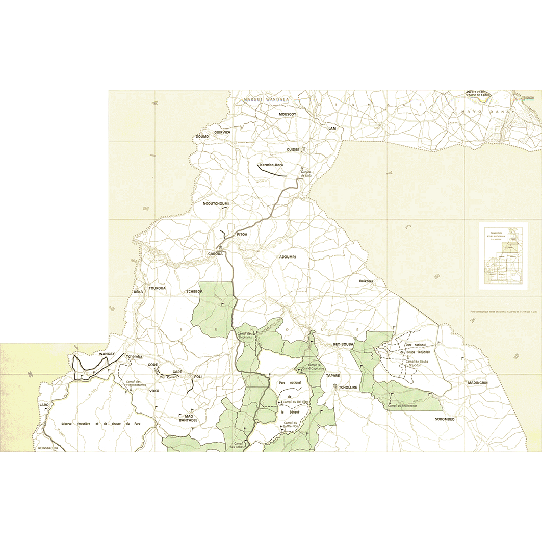 overview