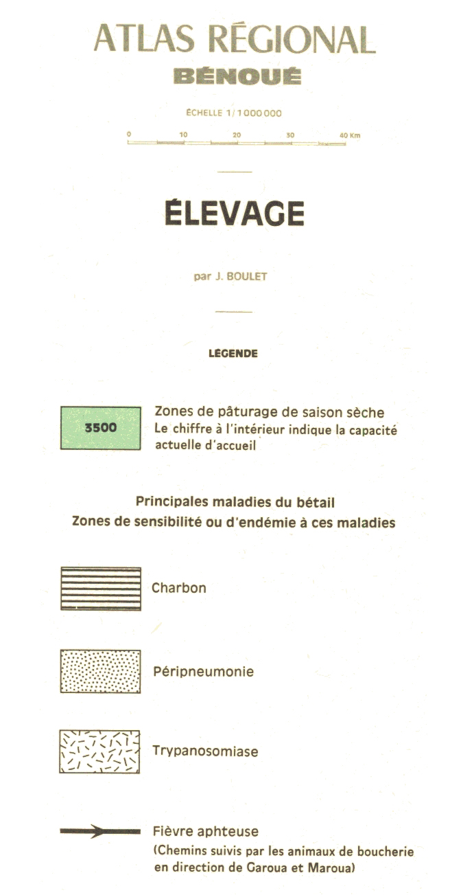 overview