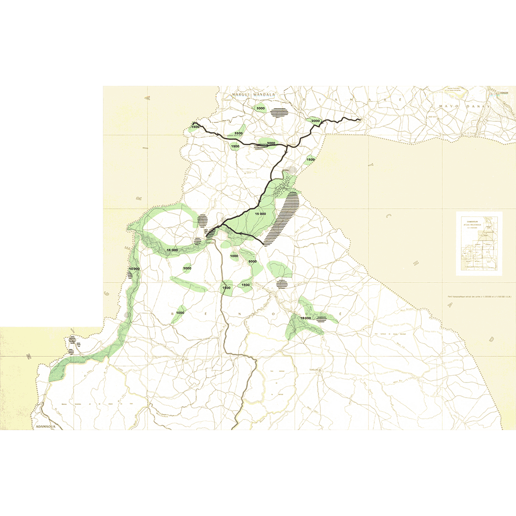 overview